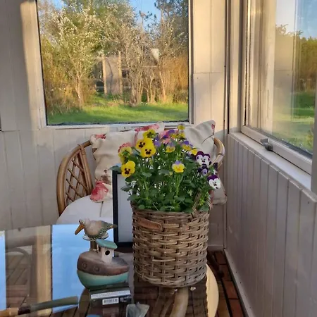 Bright Cozy In