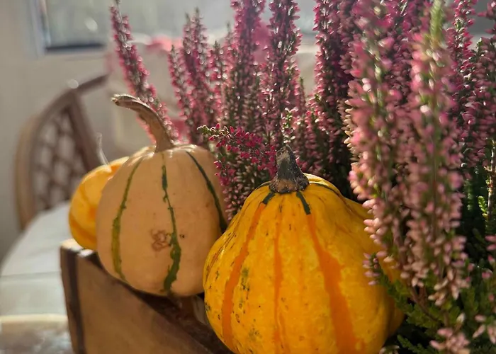 Hébergement de vacances Bright Cozy In *